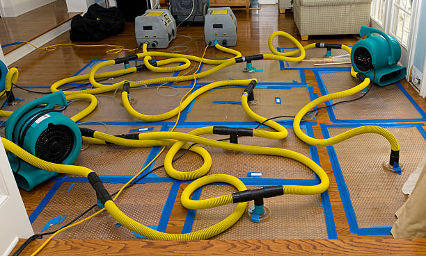 Professional Water Damage Repair technician working in Newfield, NJ